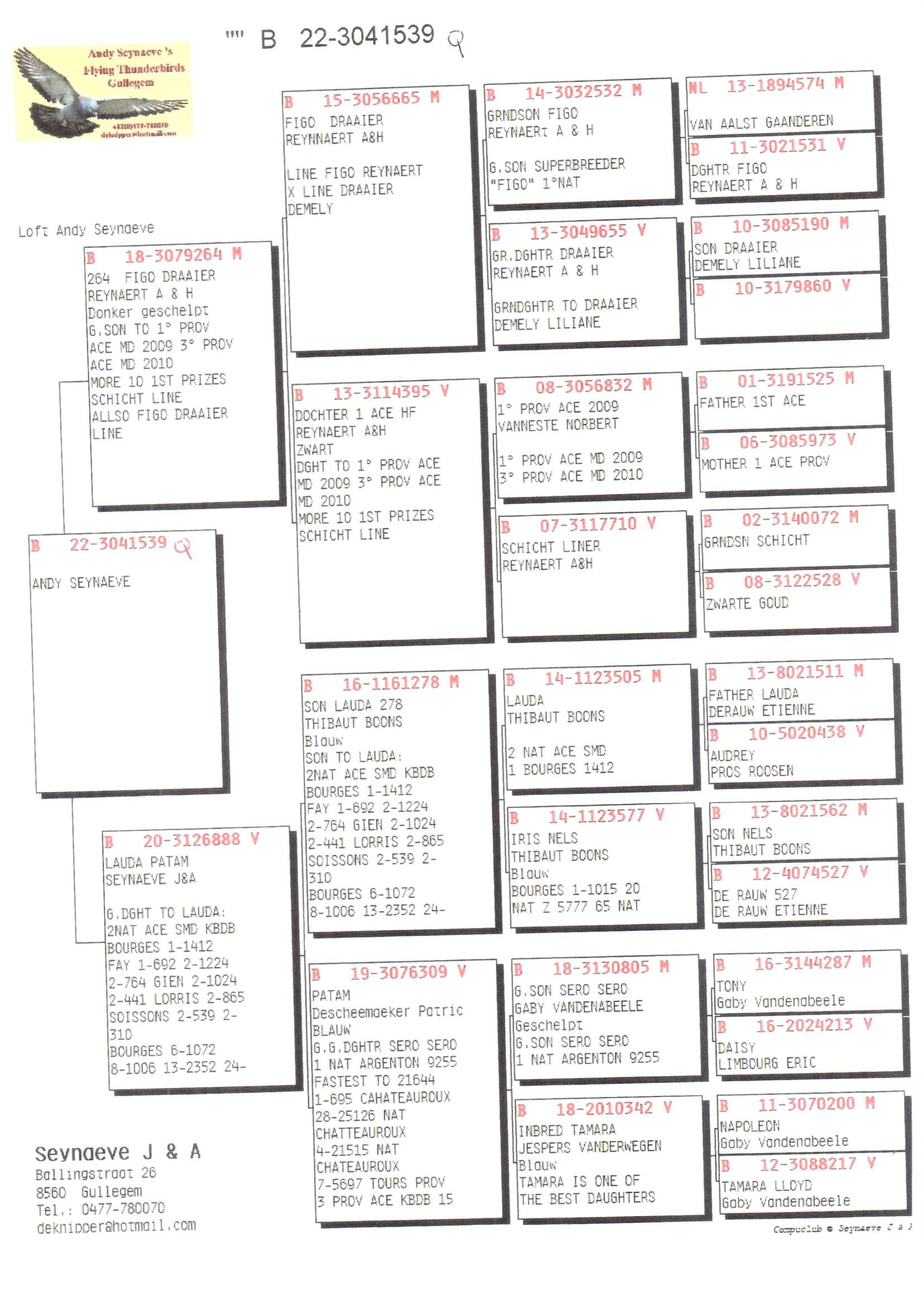 Pedigree van Den 985