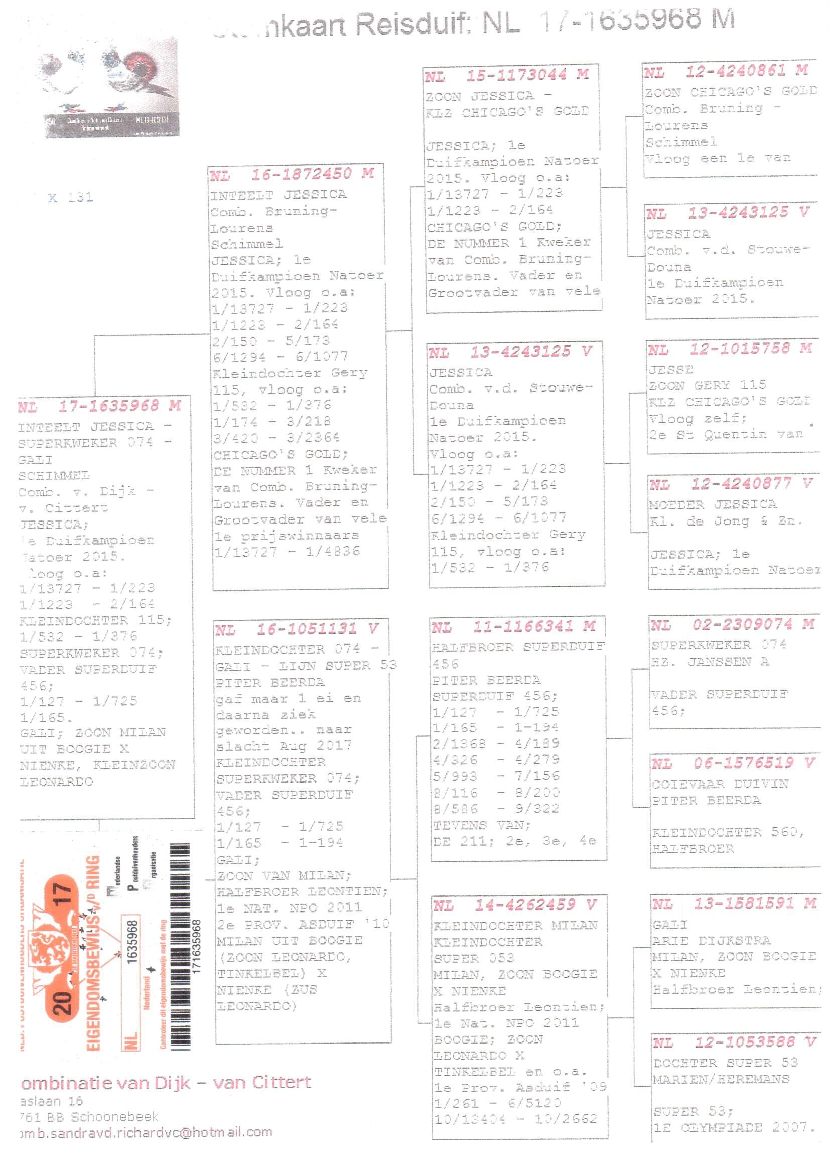 Pedigree van Den 987