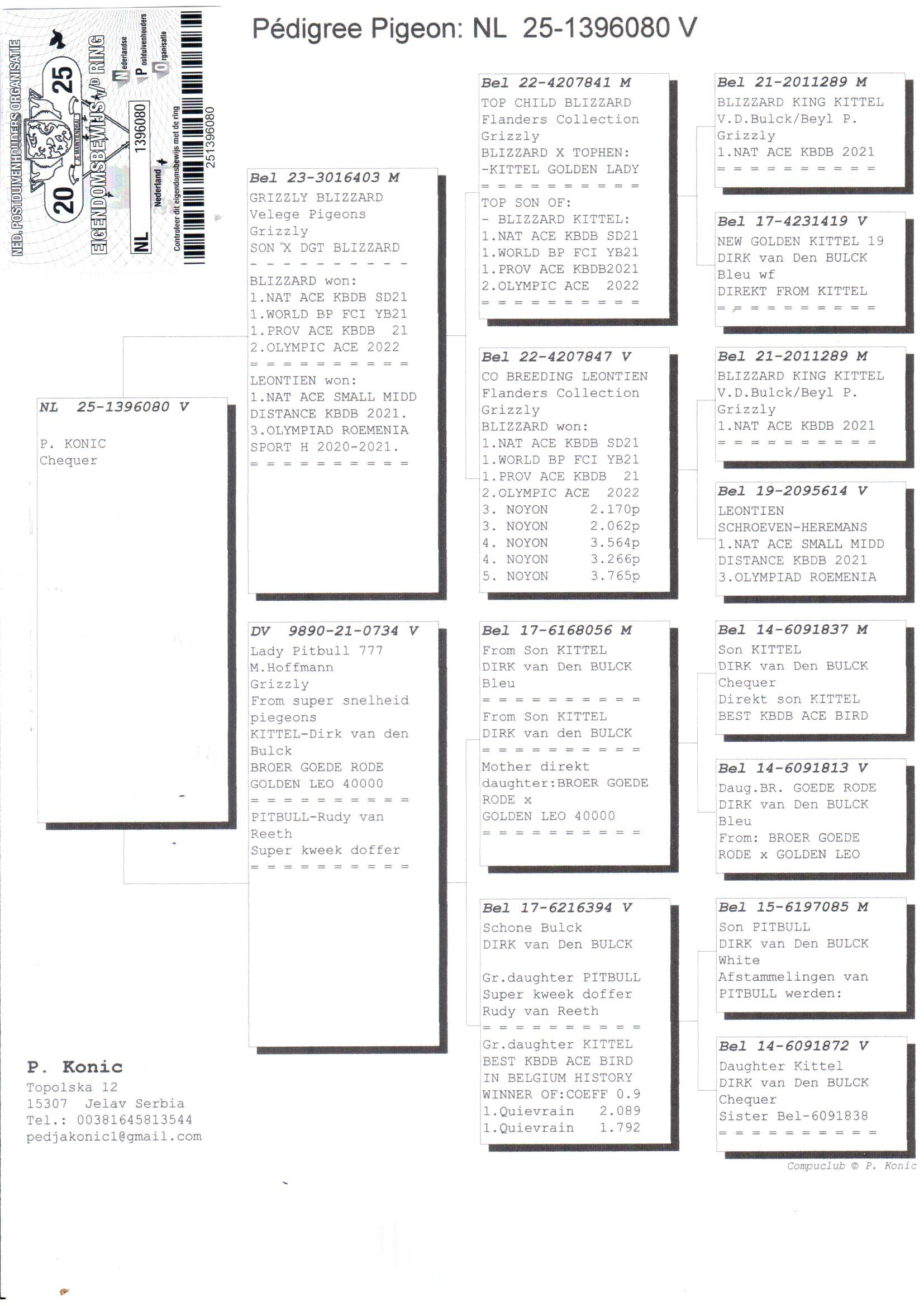 pedigree Achterkleinkind Blizzard King Kittel : 1e Nat. Asduif KBDB Snelheid