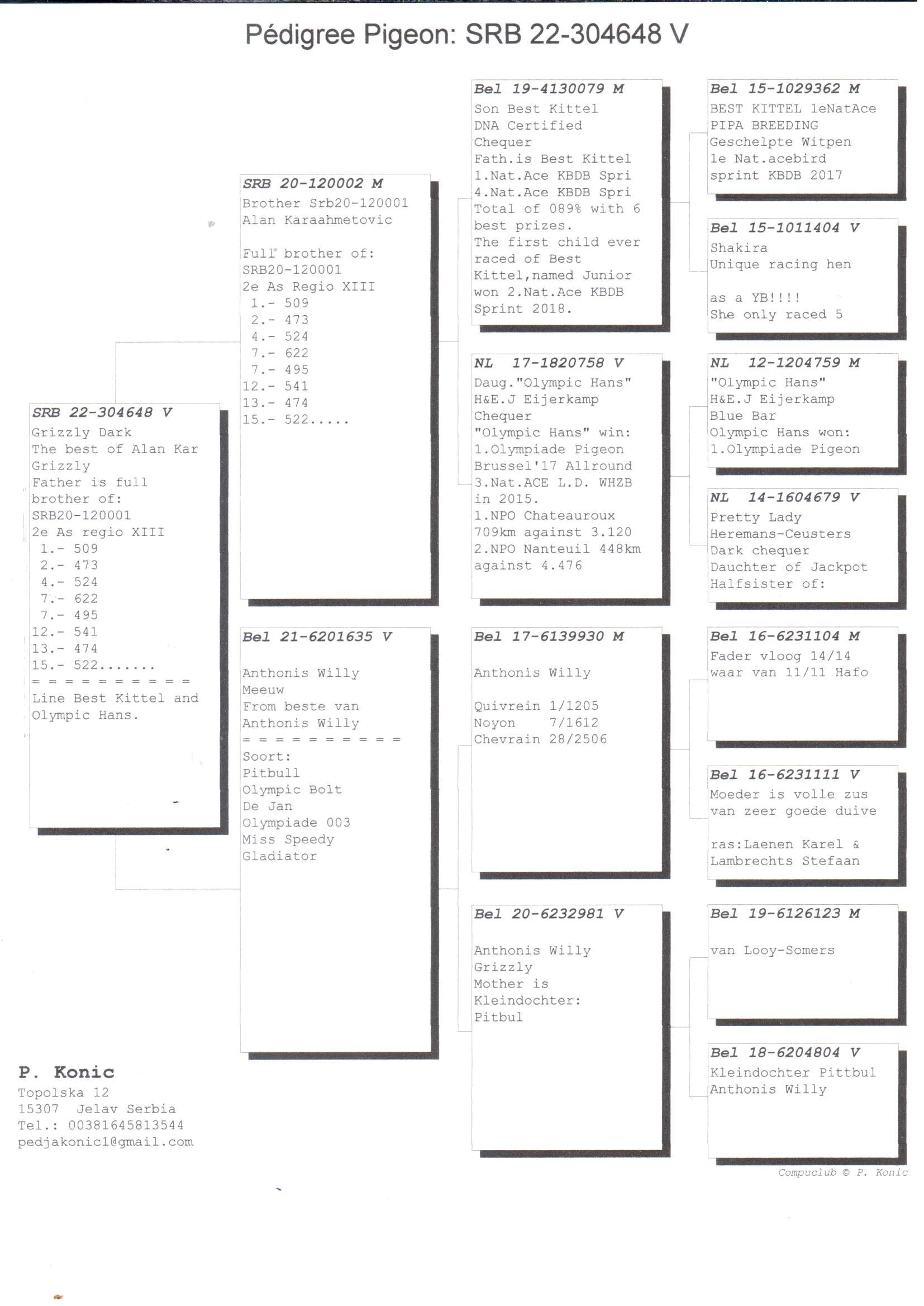 pedigree Dochter van 2e As Regio XIII