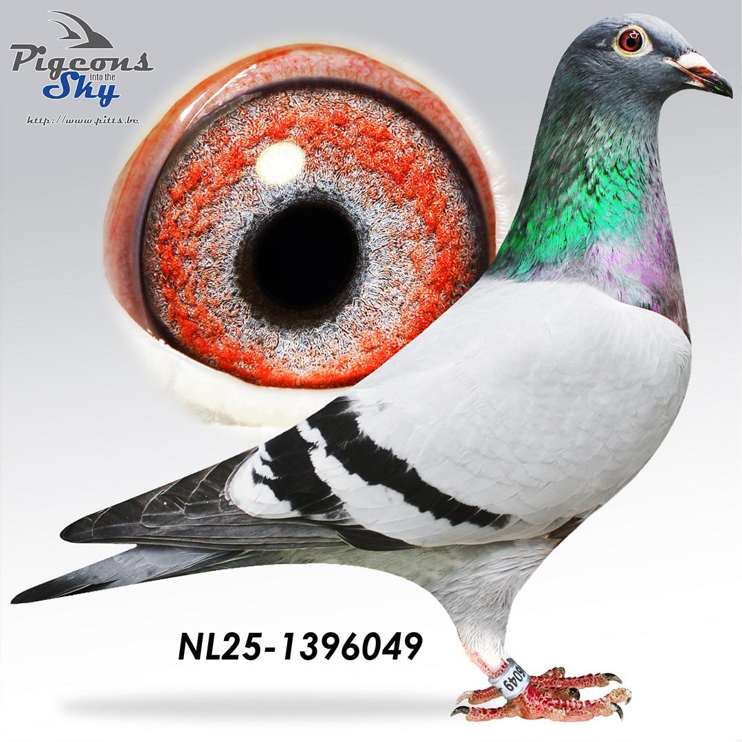 Achterkleinkind Finn (Van Gaver Tom)