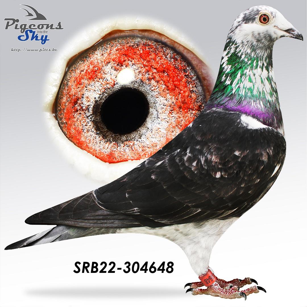 Dochter van 2e As Regio XIII