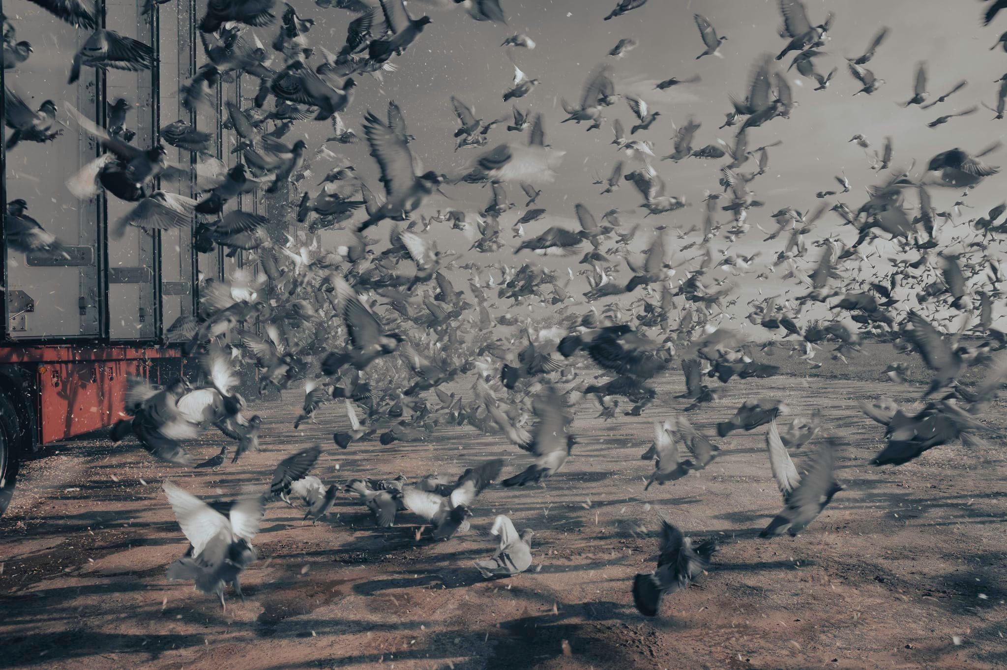 279307250_811180806951851_1893620315593347558_n