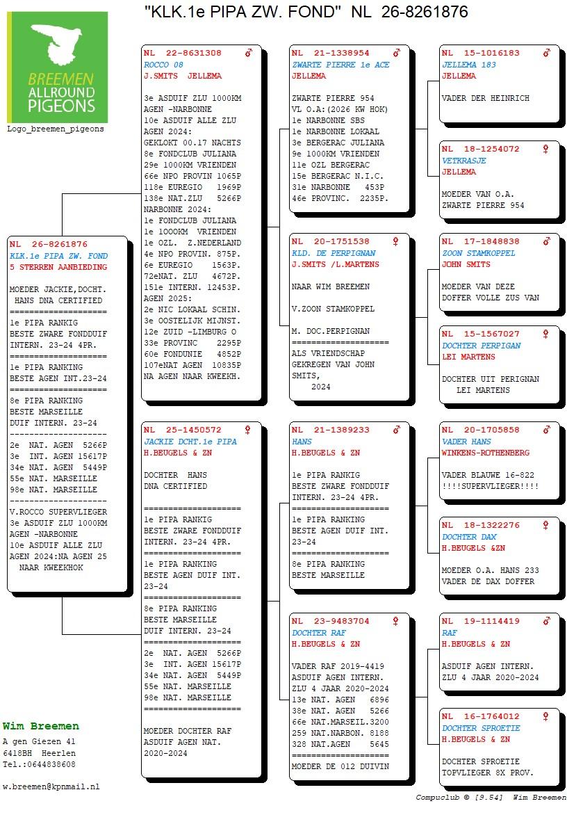 pedigree Kleinkind 1° PIPA Zware Fond