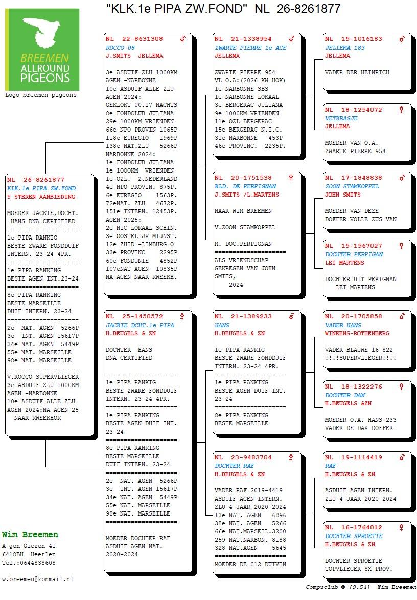 pedigree Kleinkind 1° PIPA Zware Fond