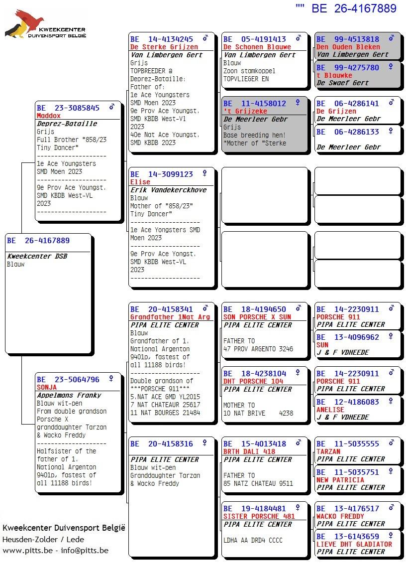 pedigree 889 - Deprez/Van Limbergen X Porsche-lijn
