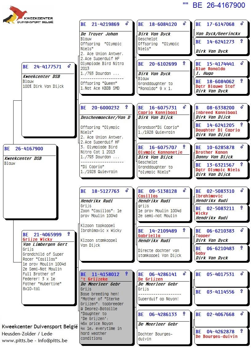 pedigree 900 - Van Dijck X Van Limbergen