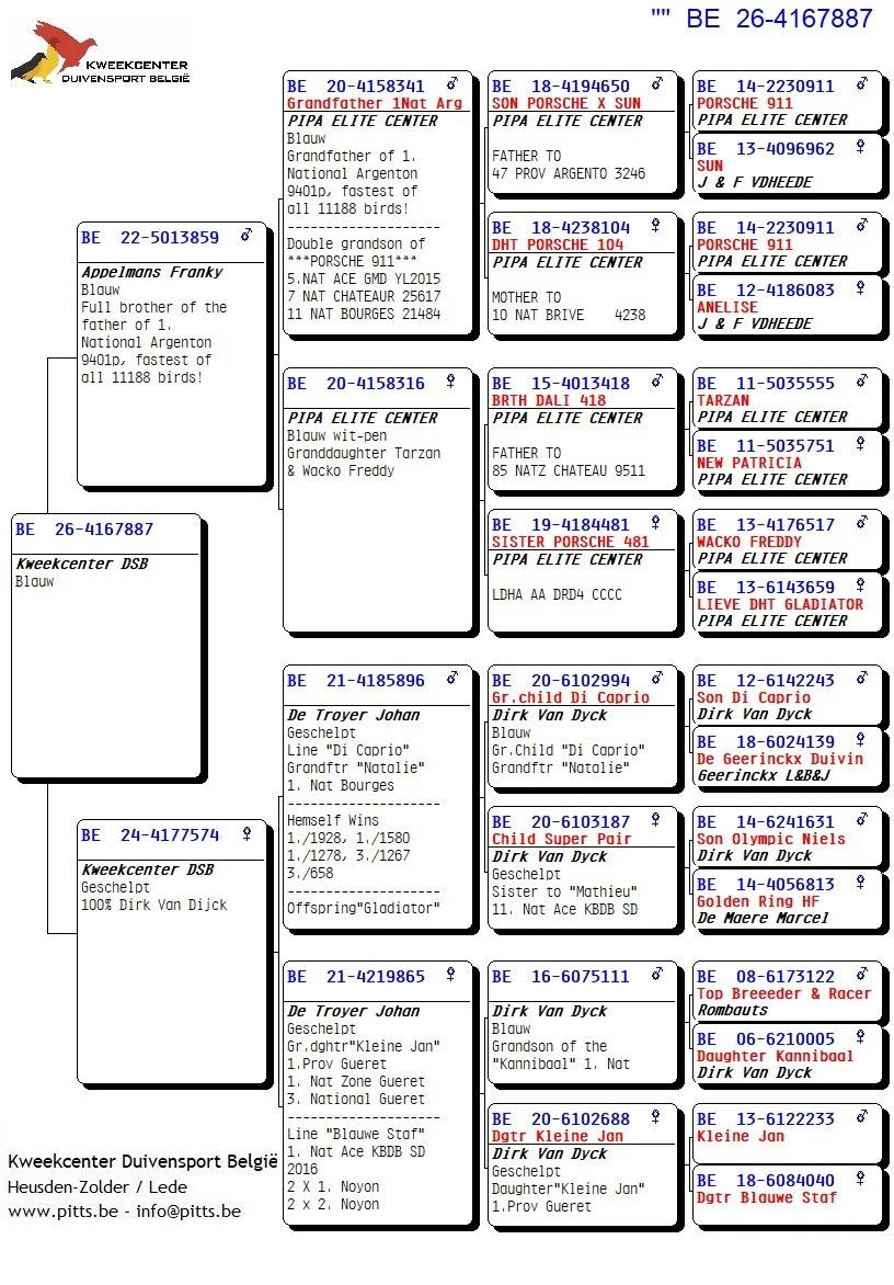 pedigree 887 - Porsche-lijn X Van Dijck