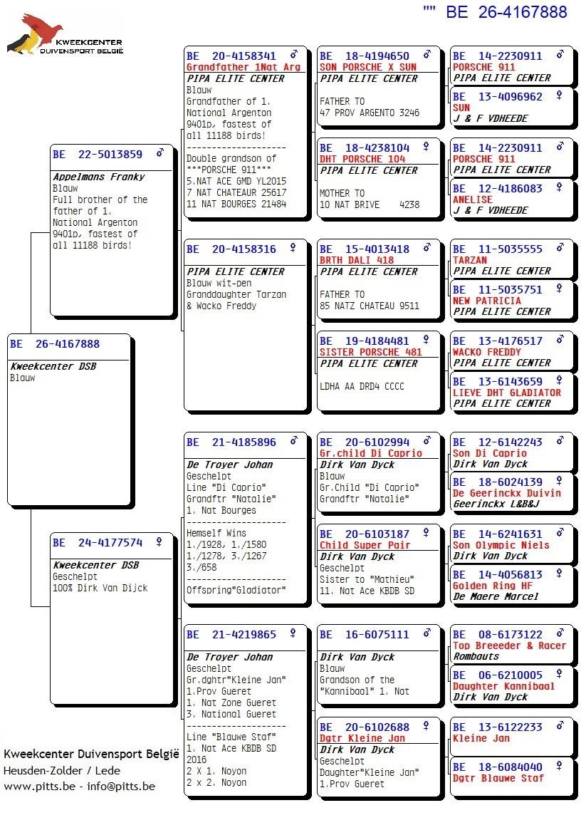 pedigree 888 - Porsche-lijn X Van Dijck