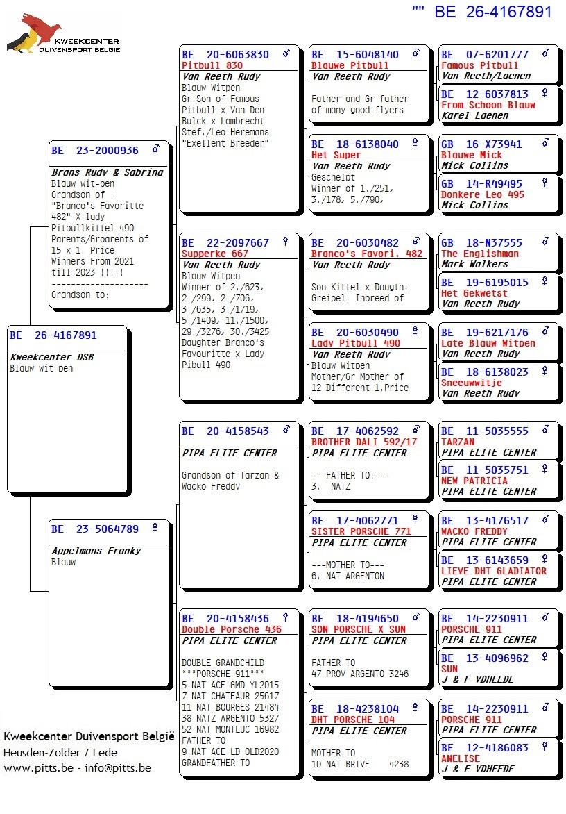 pedigree 891 - Pitbull (Van Reeth) X Porsche-lijn