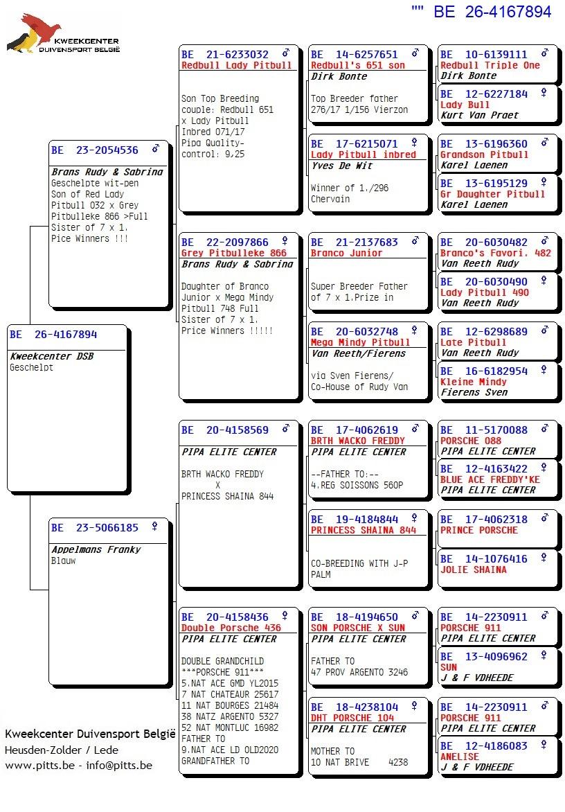 pedigree 894 - Pitbull (Van Reeth) X Porsche-lijn