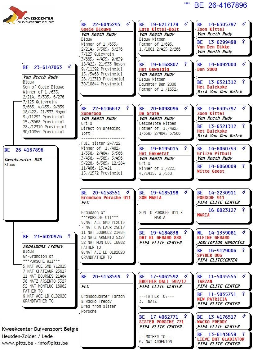 pedigree 896 - Van Reeth X Porsche-lijn