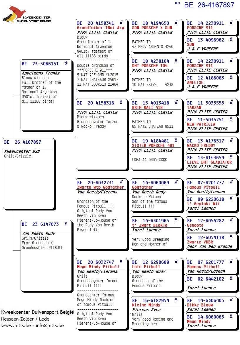pedigree 897 - Porsche-lijn X Van Reeth/Fierens