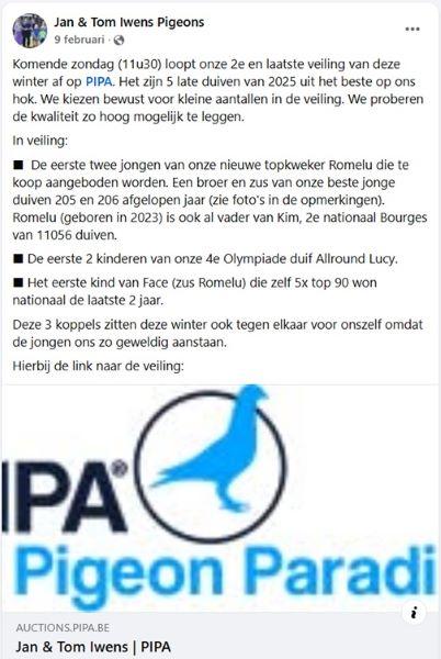 FB Jan & Tom Iwens Pigeons 9 februari 26