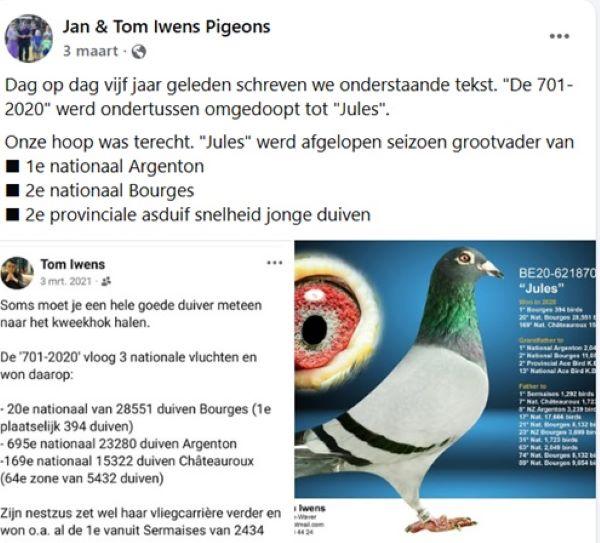 FB Jan & Tom Iwens Pigeons 3 maart 26
