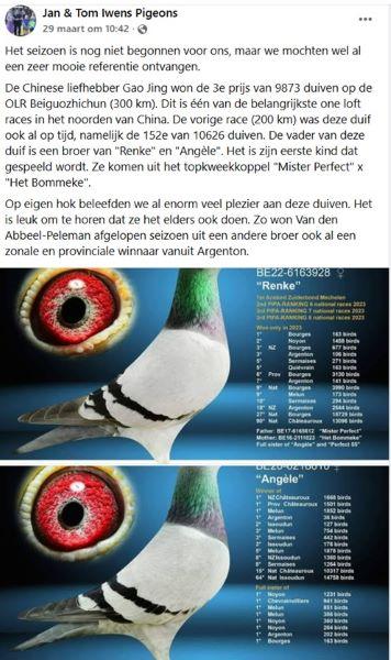 FB Jan & Tom Iwens Pigeons 29 maart 26