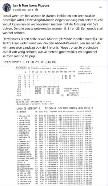 FB Jan & Tom Iwens Pigeons 8 april 26