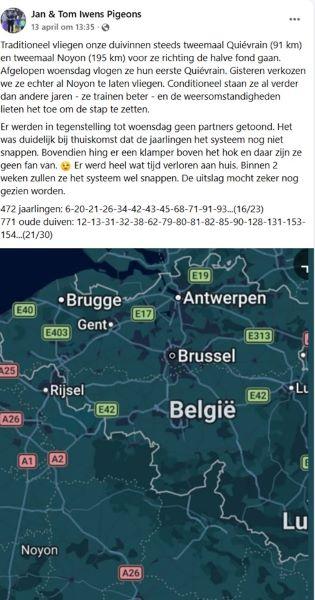 FB Jan & Tom Iwens Pigeons 13 april 26