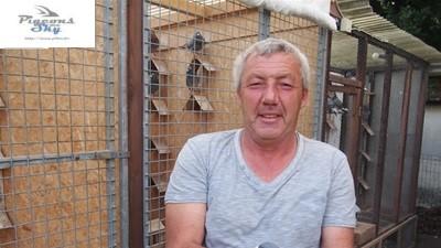 MICHEL HEREMANS (Kempenduiven Seizoensoverzicht 2026)