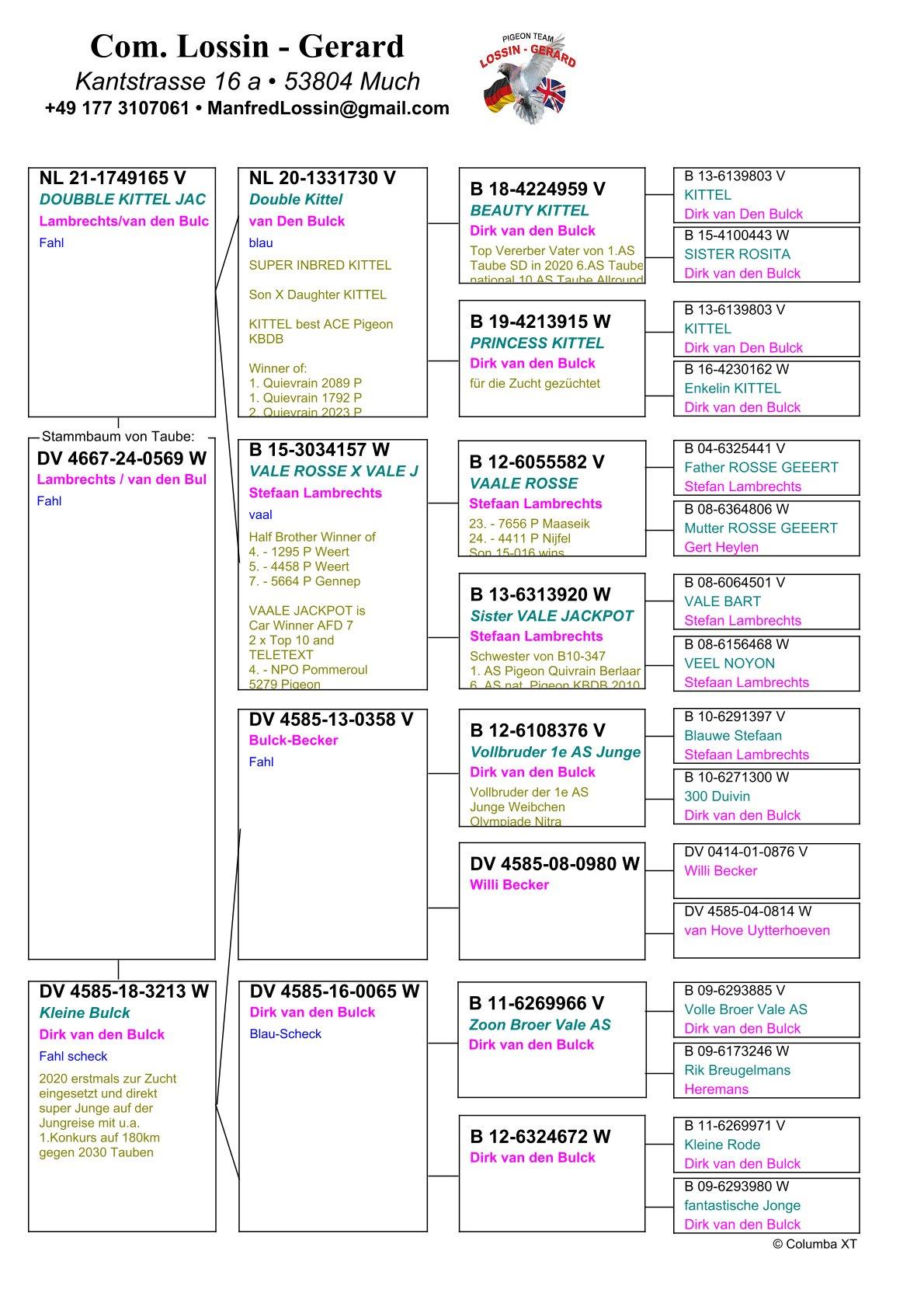 pedigree "0569" Lambrechts/Van den Bulck