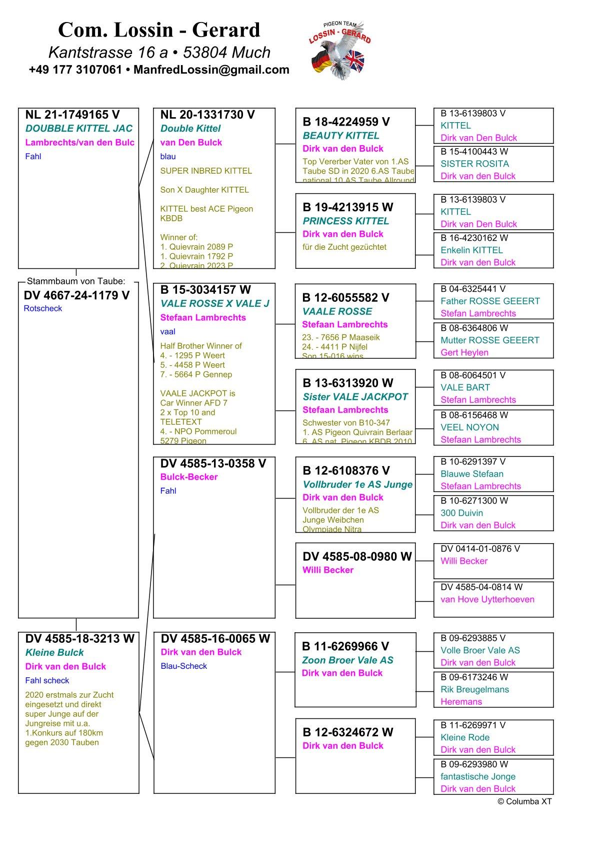 pedigree "1179" Lambrechts/Van den Bulck