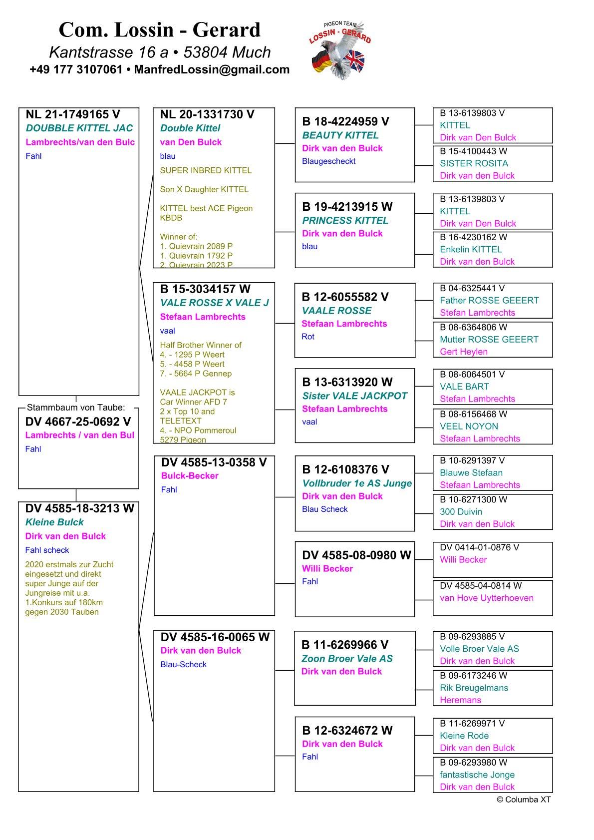 pedigree "0692" Lambrechts/Van den Bulck