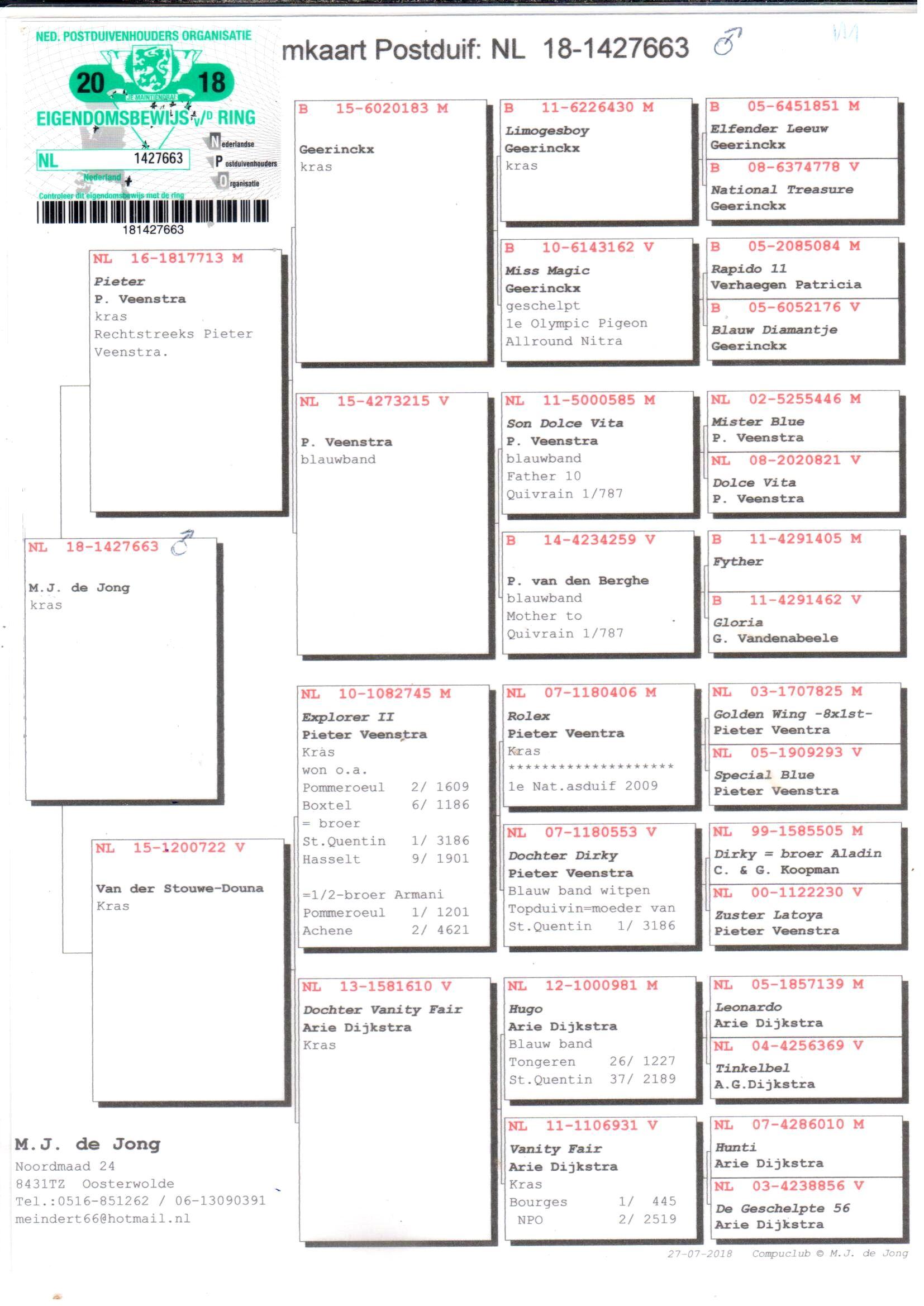 pedigree "663" P. Veenstra x Van der Stouwe-Douna