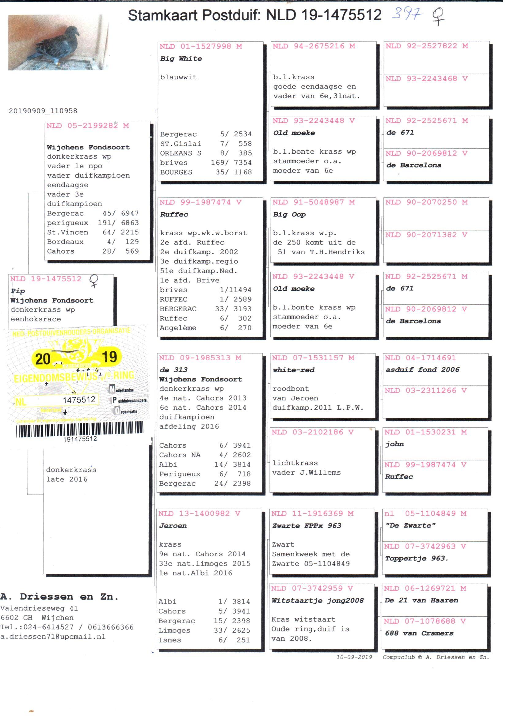 pedigree "Pip" Wijchens Fondsoort