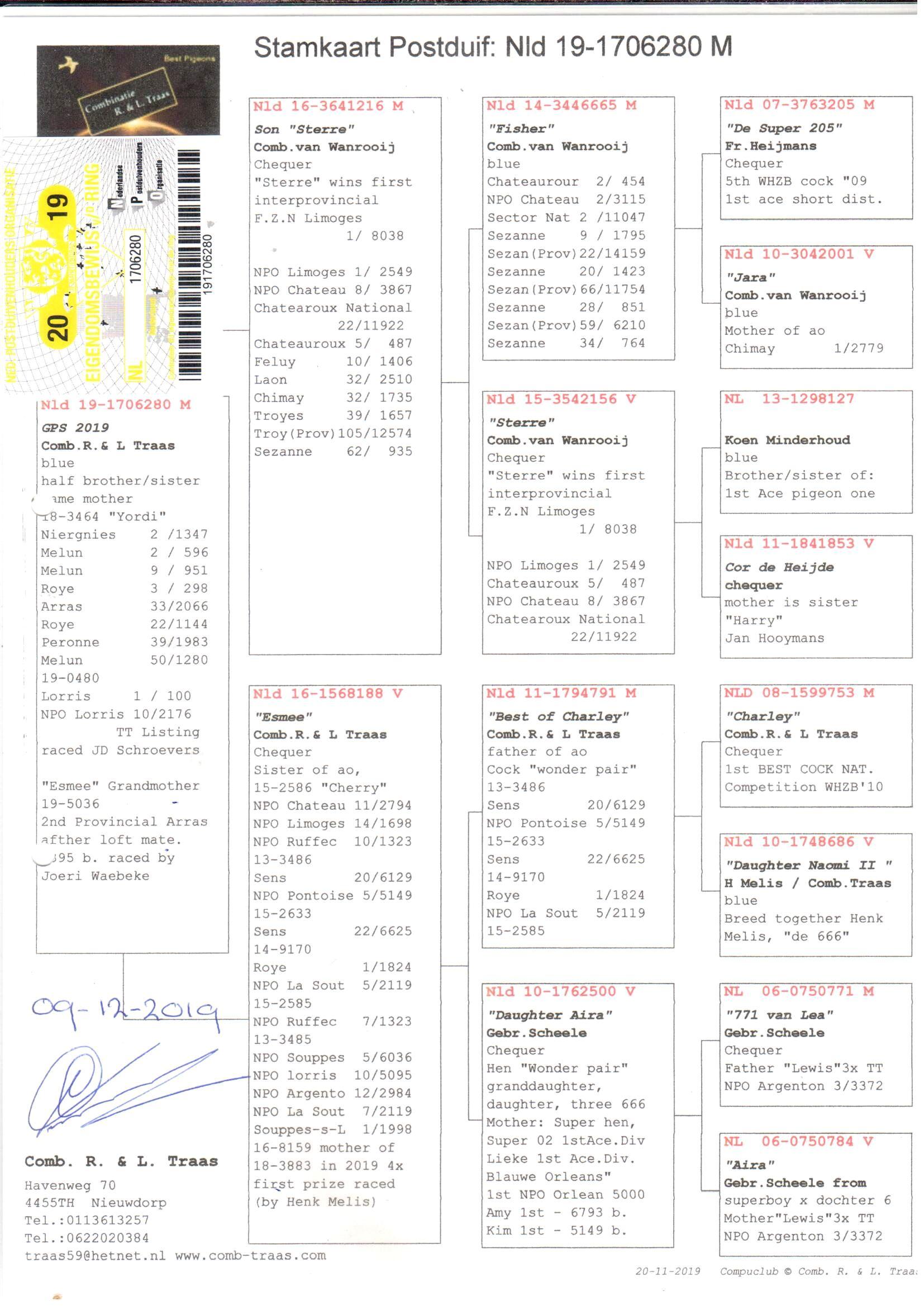 pedigree "GPS 2019" Comb. Van Wanrooij x Comb. R. & L. Traas