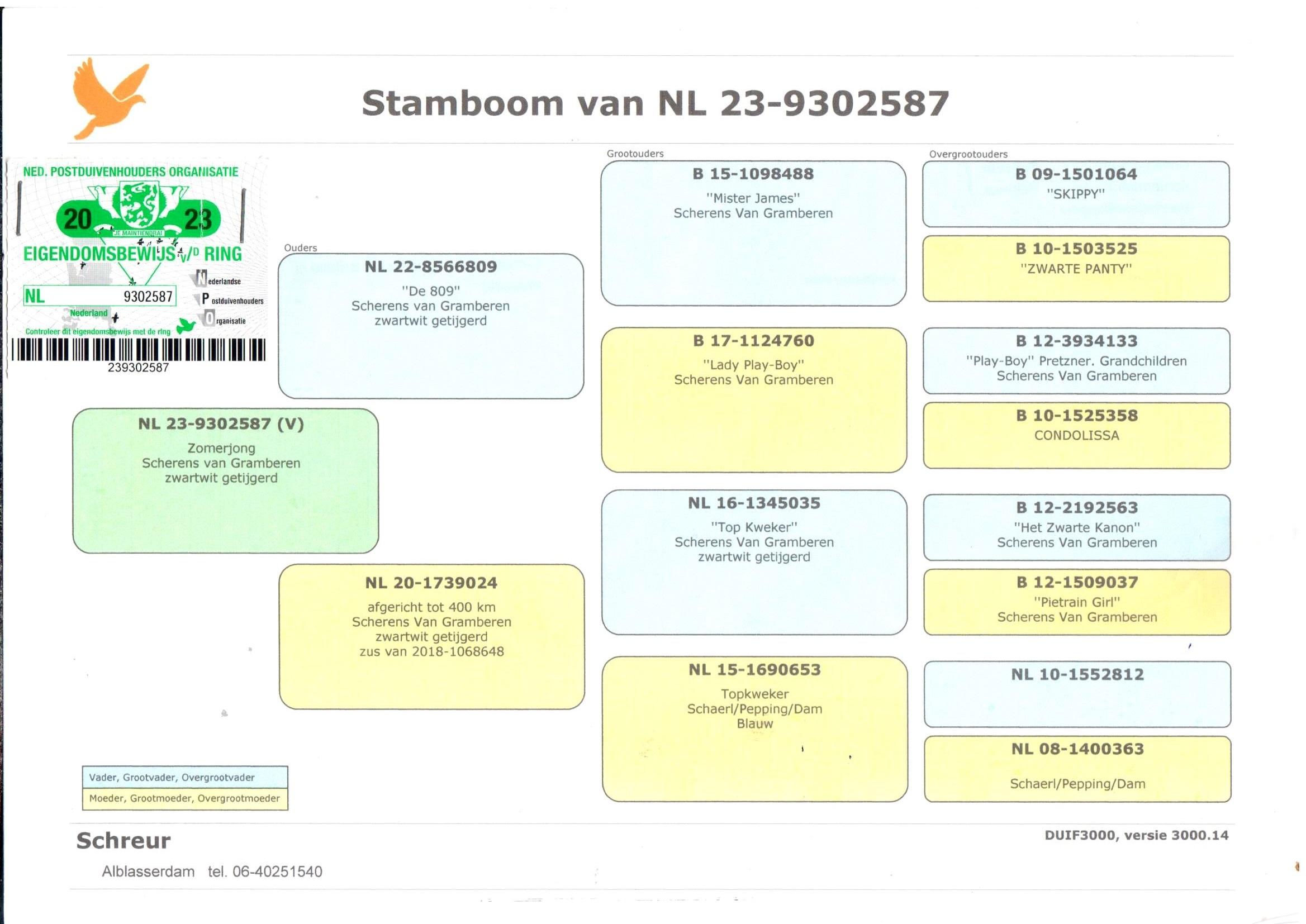 pedigree "587" 100% Scherens Van Gramberen