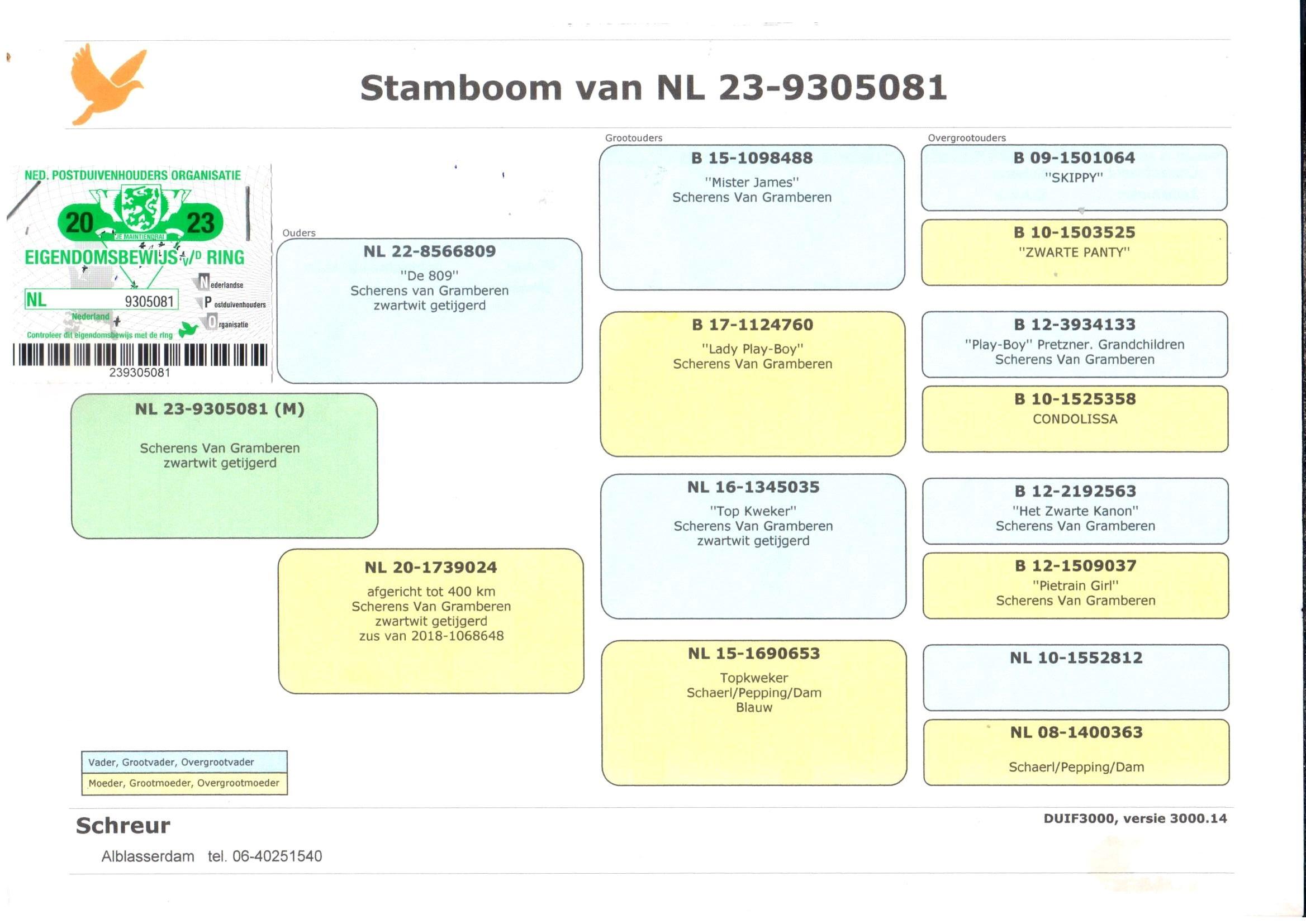 pedigree "081" 100% Scherens Van Gramberen