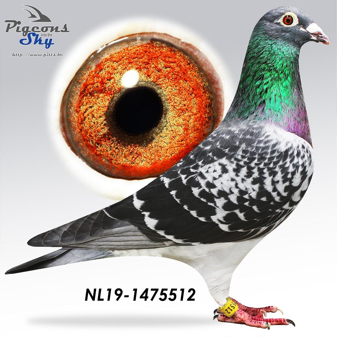 "Pip" Wijchens Fondsoort