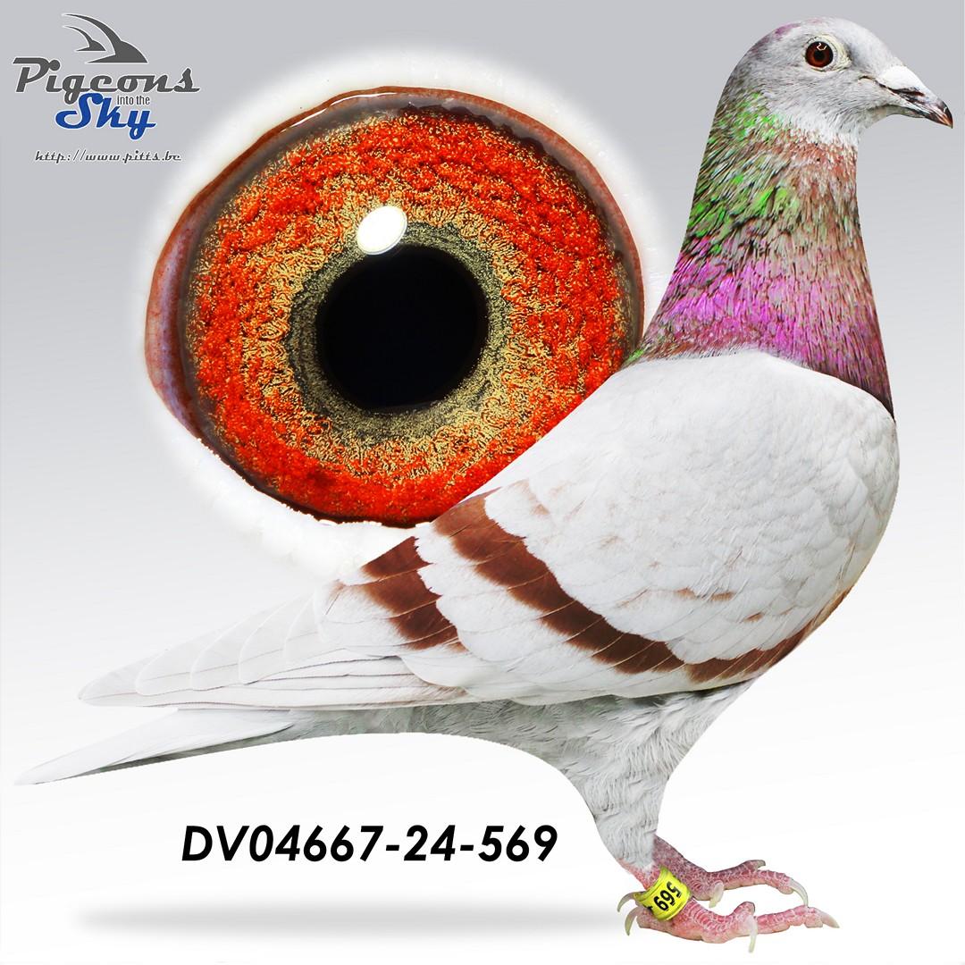 "0569" Lambrechts/Van den Bulck