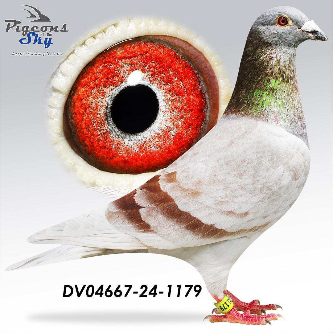 "1179" Lambrechts/Van den Bulck