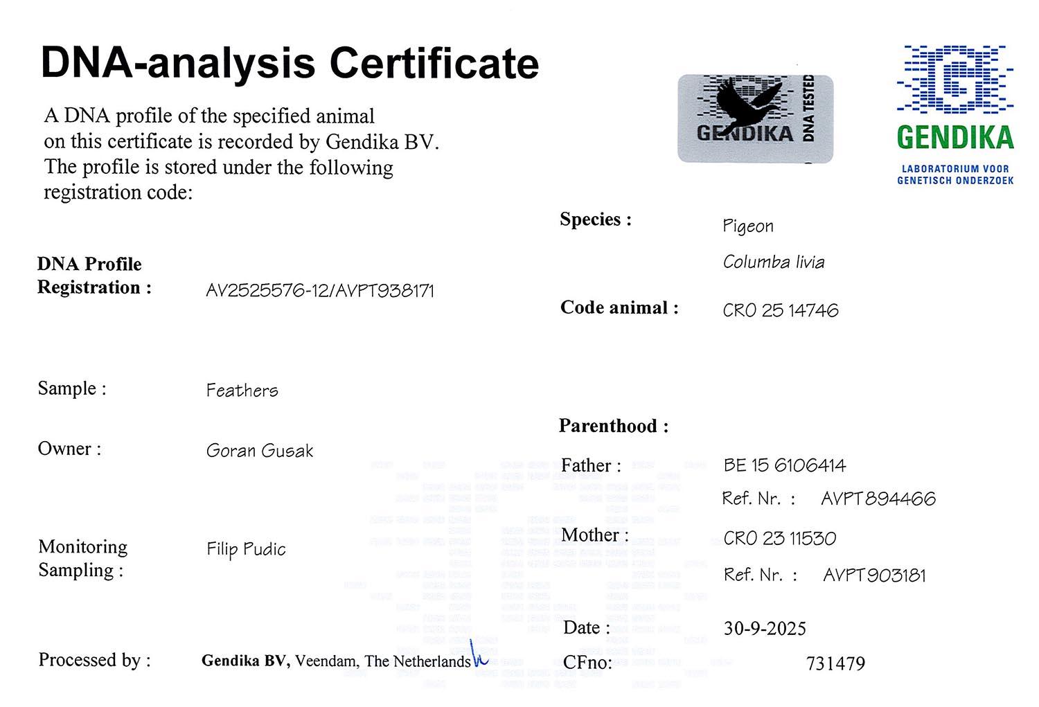 HYPEREXCLUSIEF! Dream 746 - Inteelt Grizli Adams! + DNA - Familie