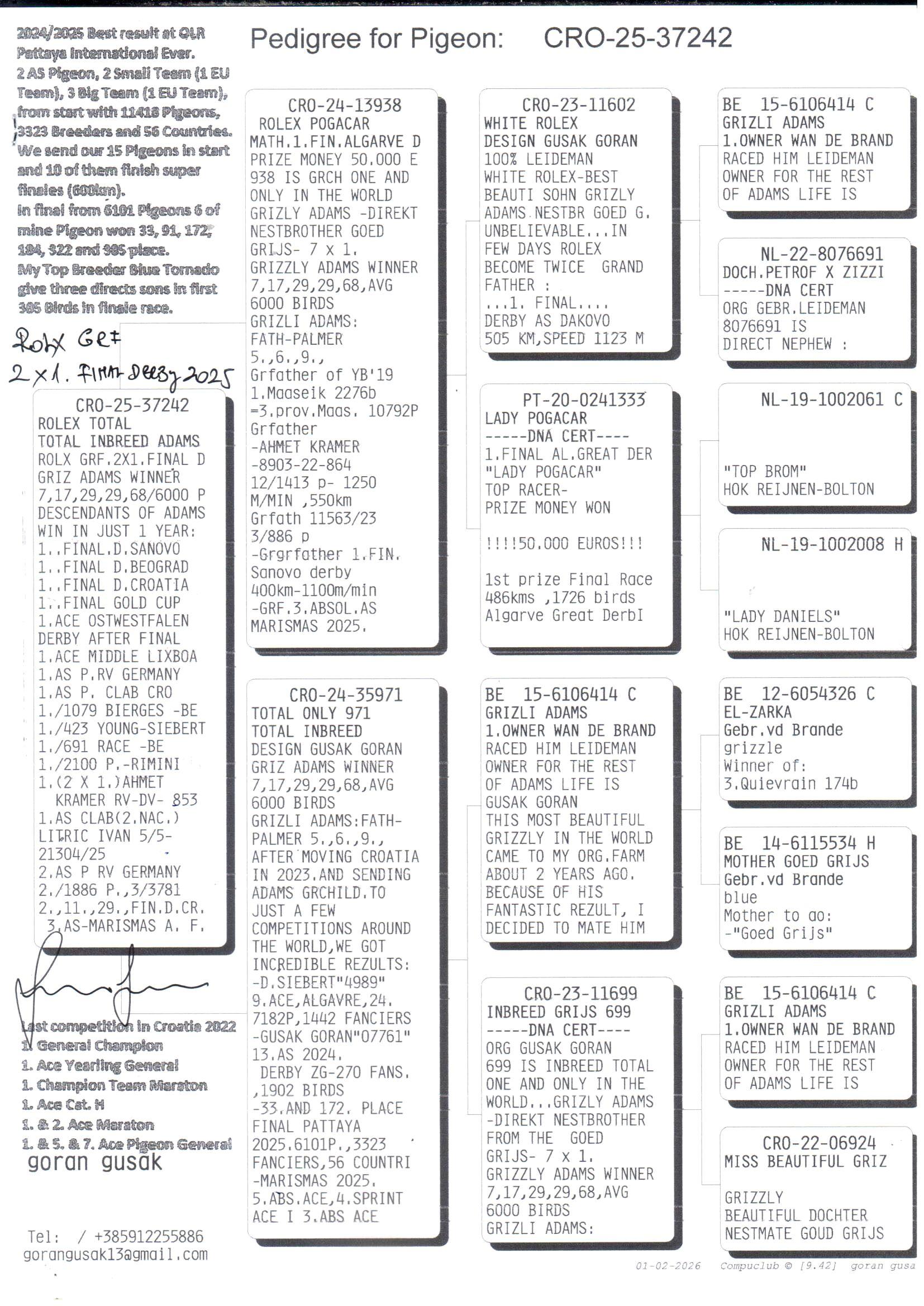 pedigree Rolex Total