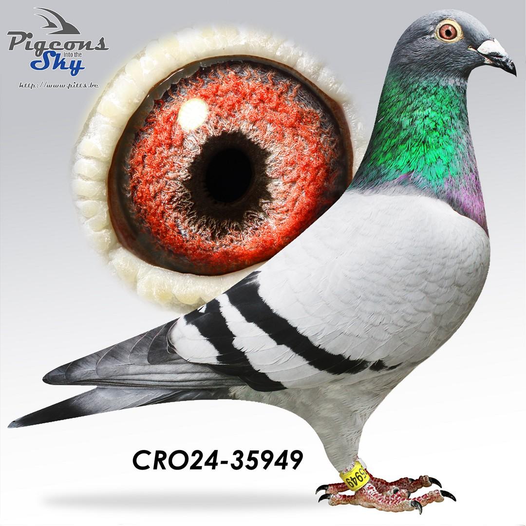 Nadin Wout Guizepe 49