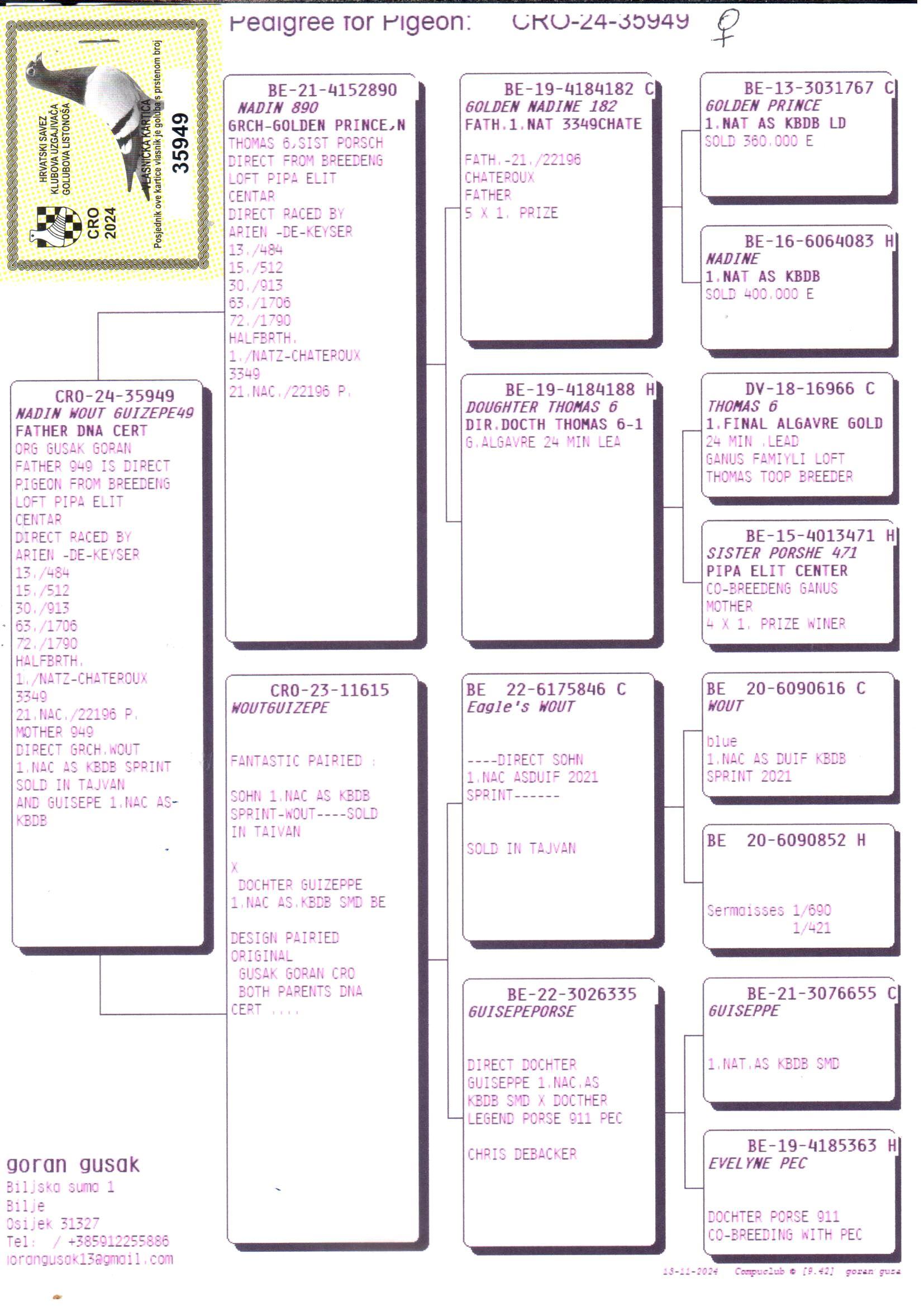 pedigree Nadin Wout Guizepe 49