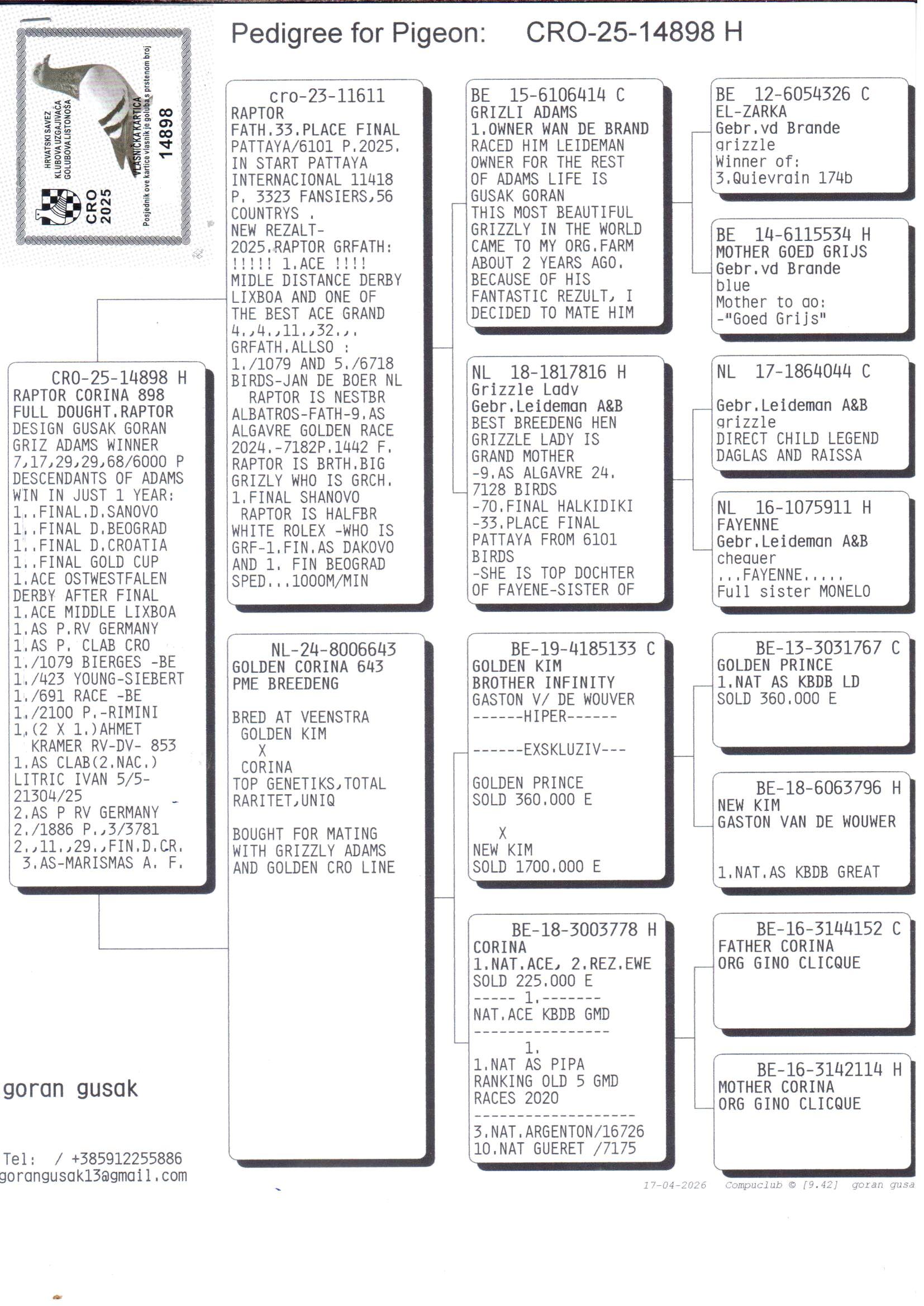pedigree Raptor Corina 898 + DNA