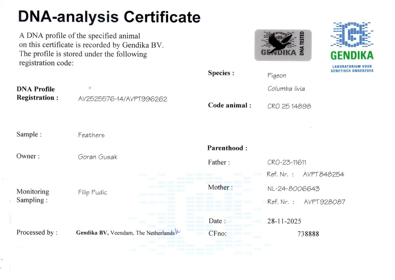 Pedigree van Raptor Corina 898 + DNA