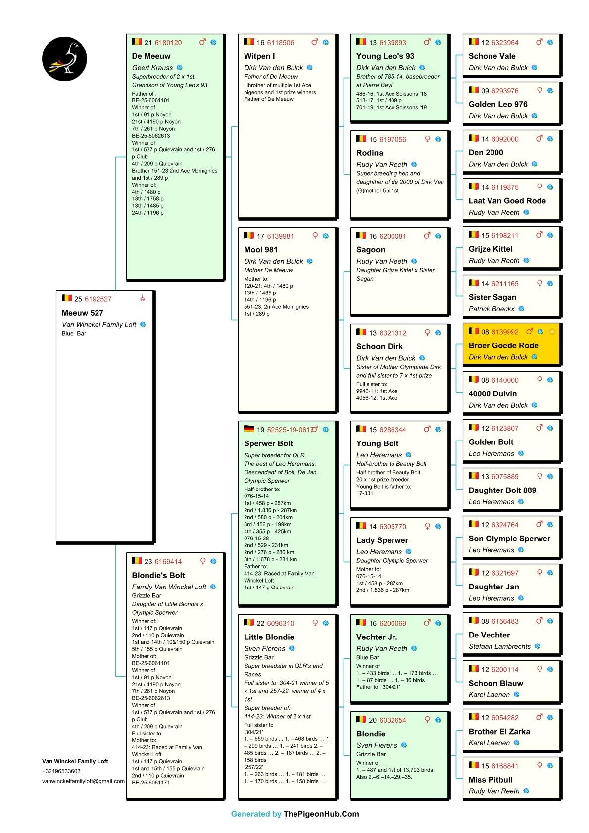 pedigree Meeuw 527 