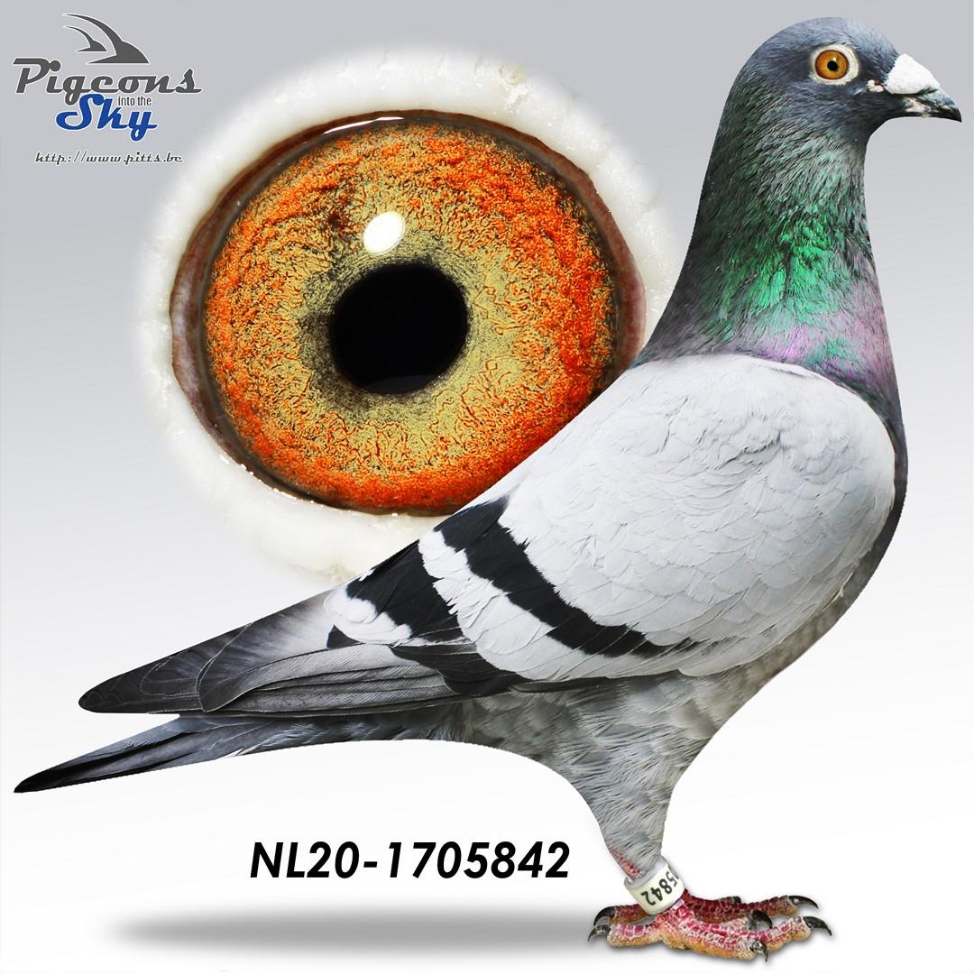 De 842