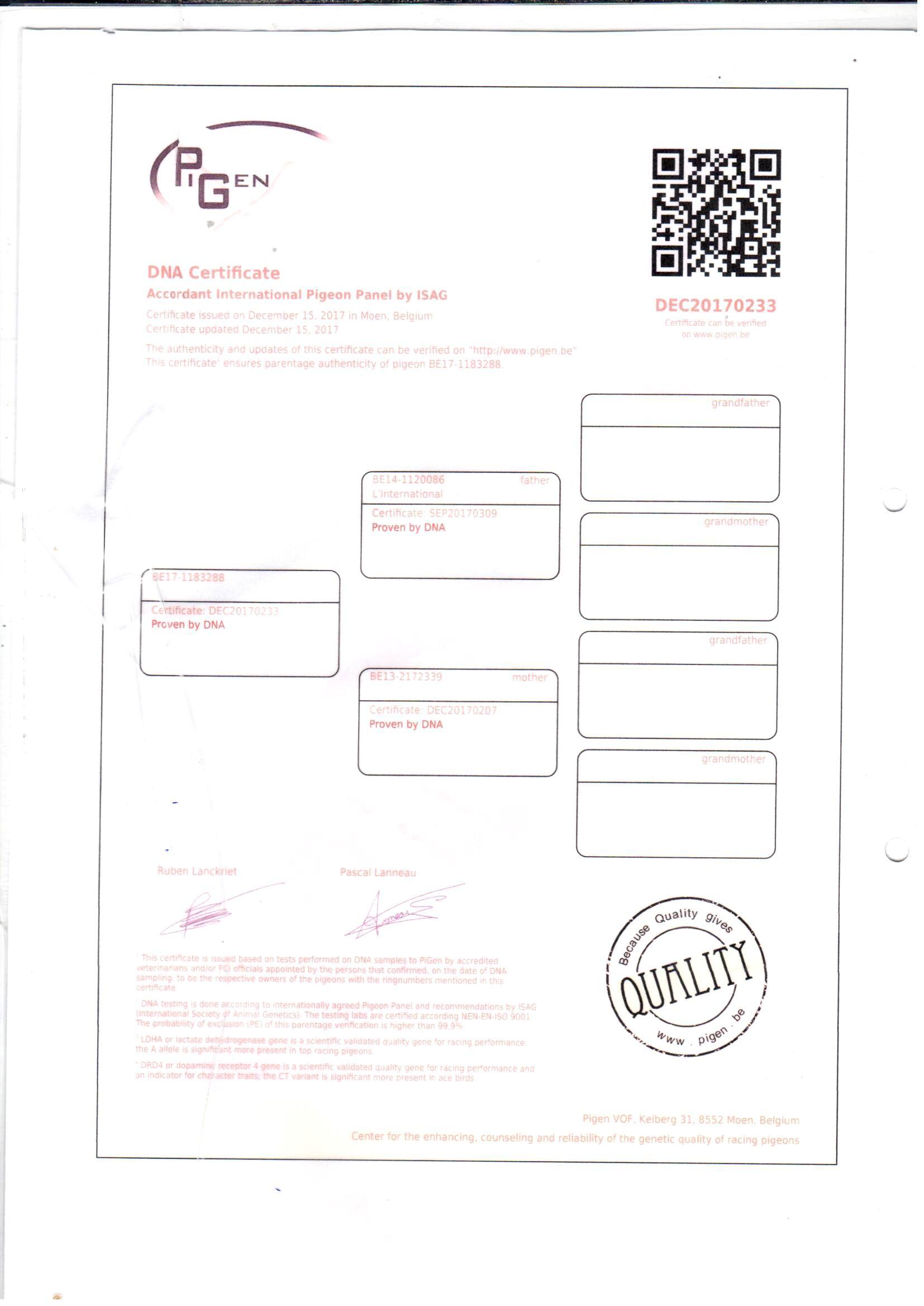 Pedigree Van veiling De 288