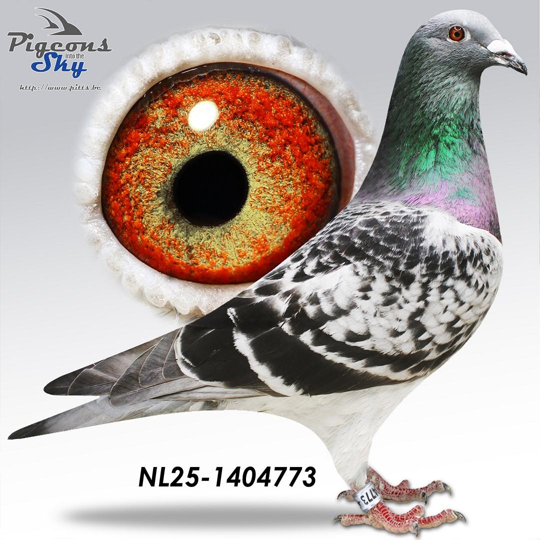 De 773