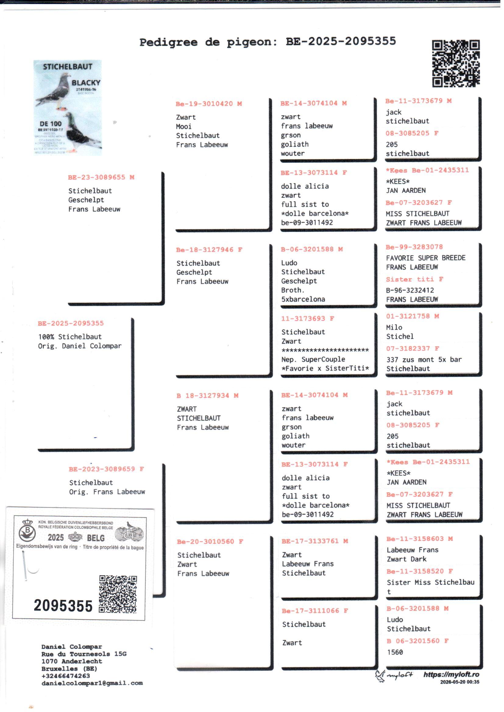 pedigree 355 - 100% Labeeuw