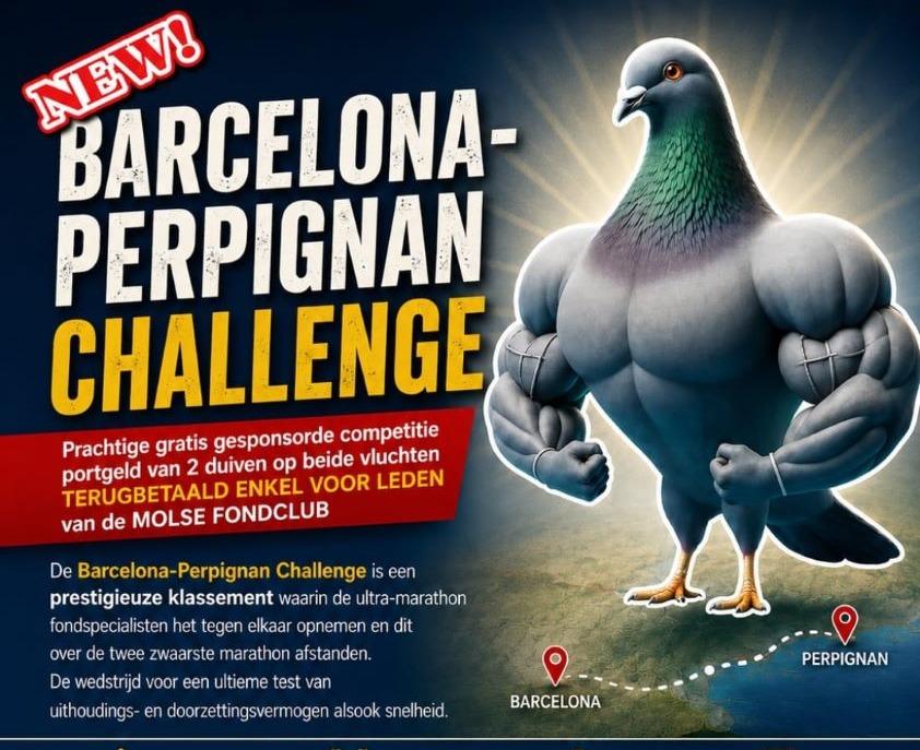 MOLSE FONDCLUB Barcelona-Perpignan Challenge