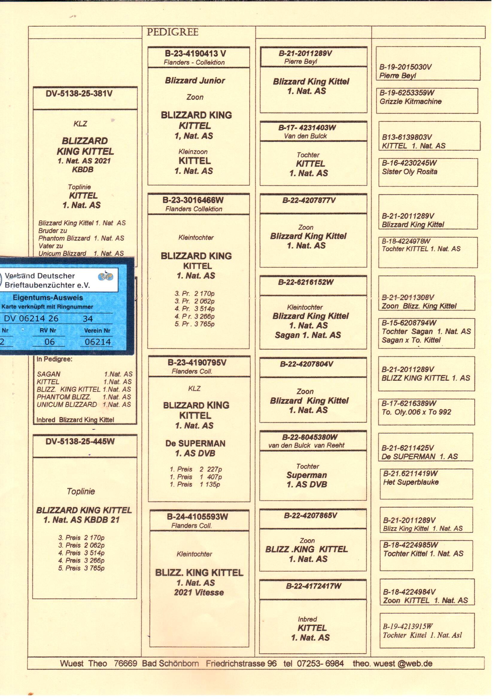 pedigree De 34
