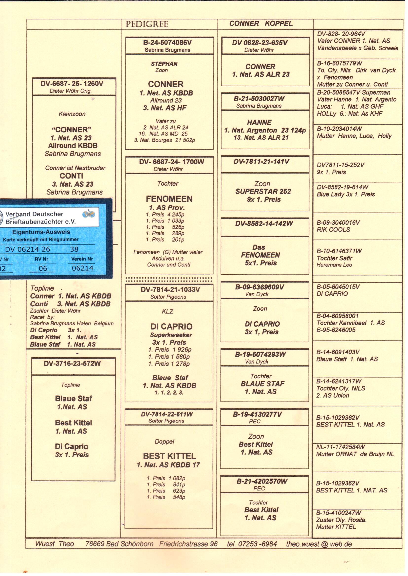 pedigree De 38