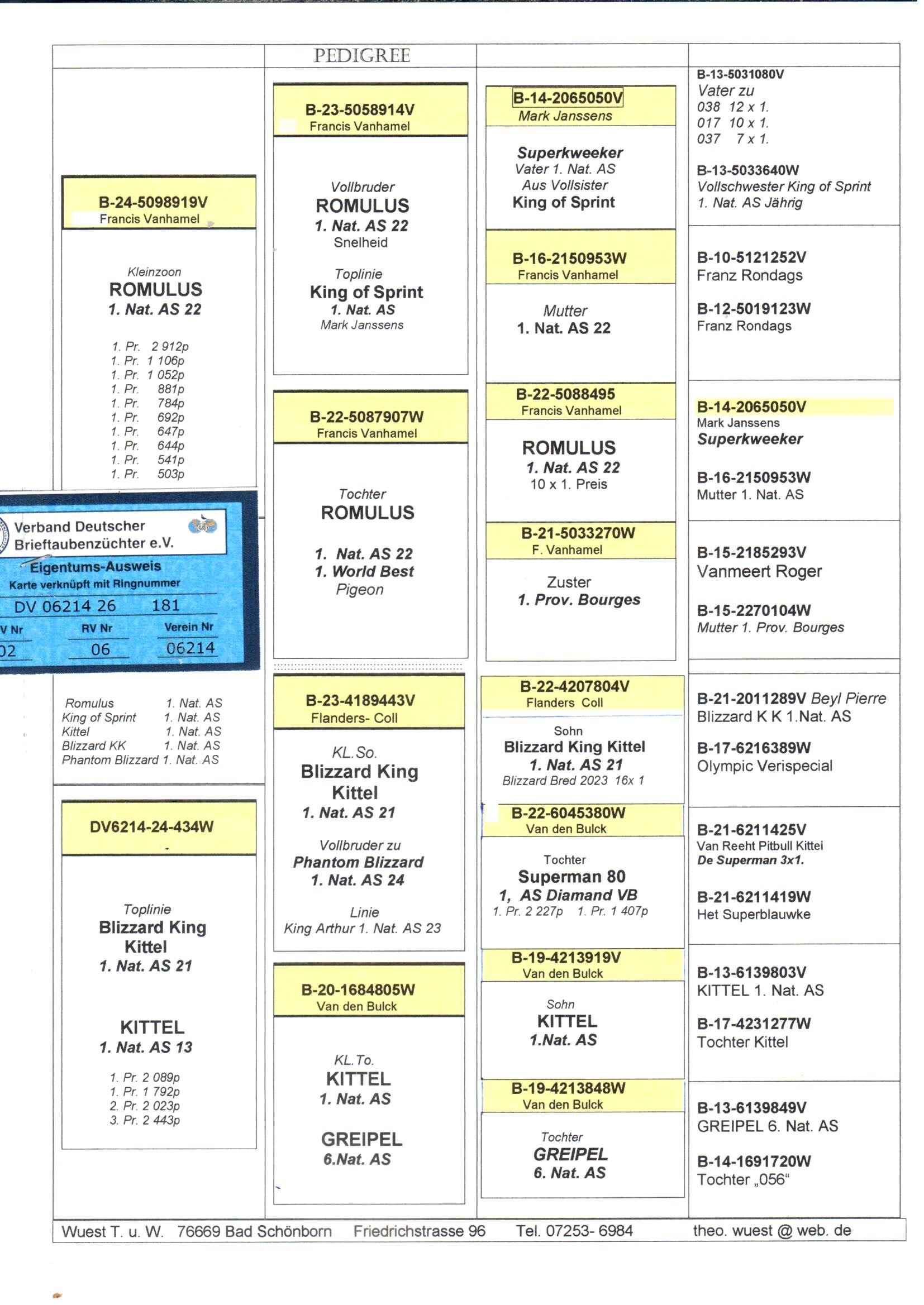 pedigree De 181