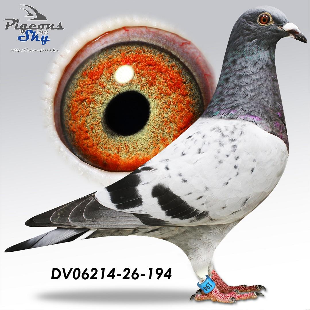 De 194